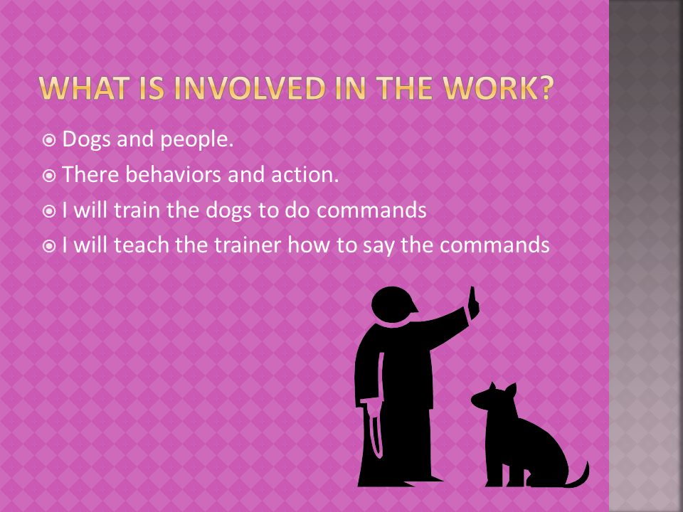  Dogs and people.  There behaviors and action.