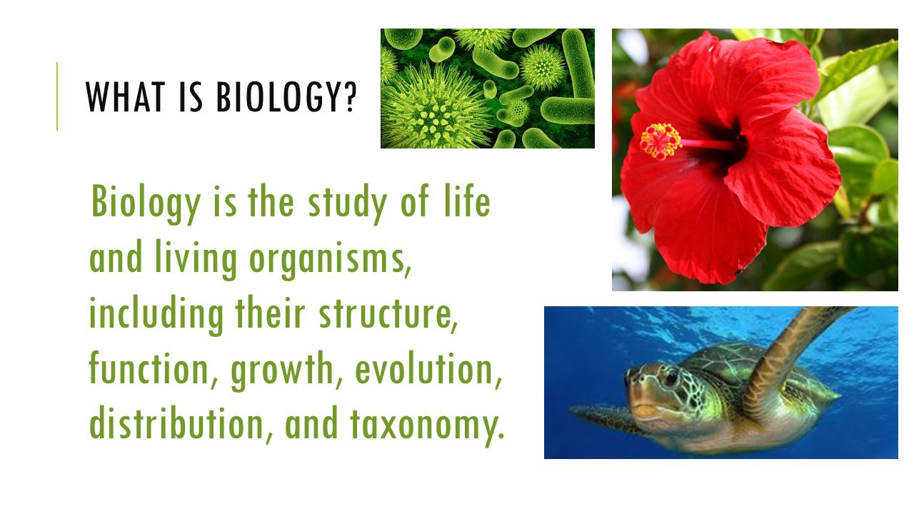 What is biology. 