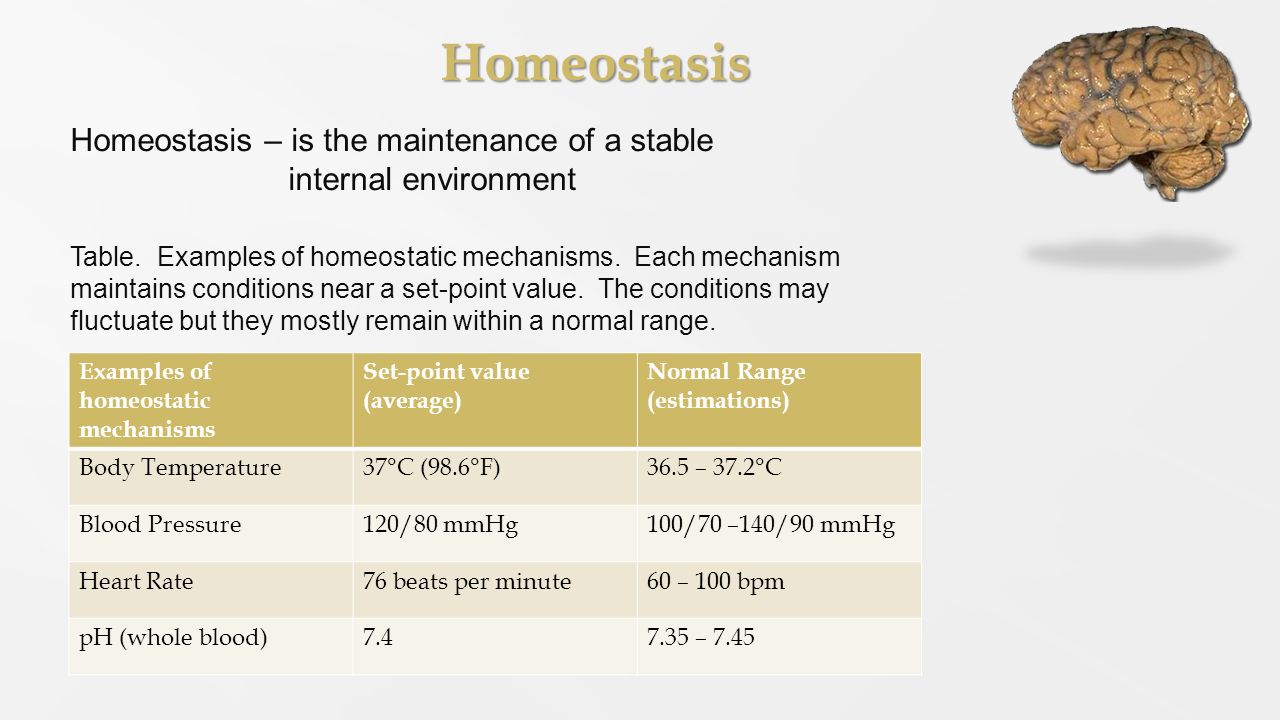 Homeostasis Homeostasis – is the maintenance of a stable internal environment Examples of homeostatic mechanisms Set-point value (average) Normal Range (estimations) Body Temperature37°C (98.6°F)36.5 – 37.2°C Blood Pressure120/80 mmHg100/70 –140/90 mmHg Heart Rate76 beats per minute60 – 100 bpm pH (whole blood) – 7.45 Table.