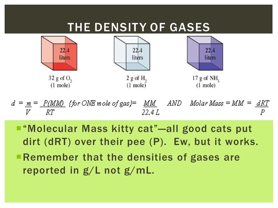  Molecular Mass kitty cat —all good cats put dirt (dRT) over their pee (P).