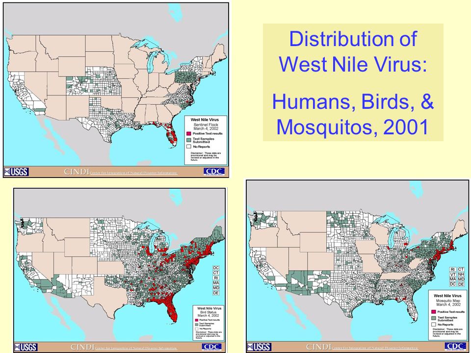 Distribution of West Nile Virus: Humans, Birds, & Mosquitos, 2001