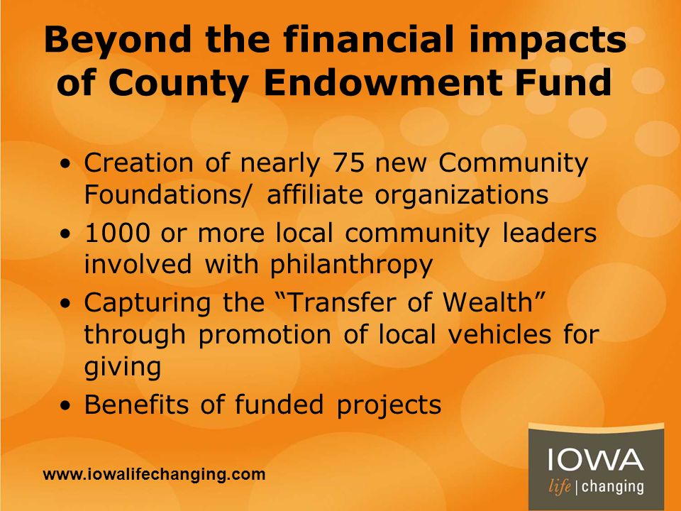Beyond the financial impacts of County Endowment Fund Creation of nearly 75 new Community Foundations/ affiliate organizations 1000 or more local community leaders involved with philanthropy Capturing the Transfer of Wealth through promotion of local vehicles for giving Benefits of funded projects