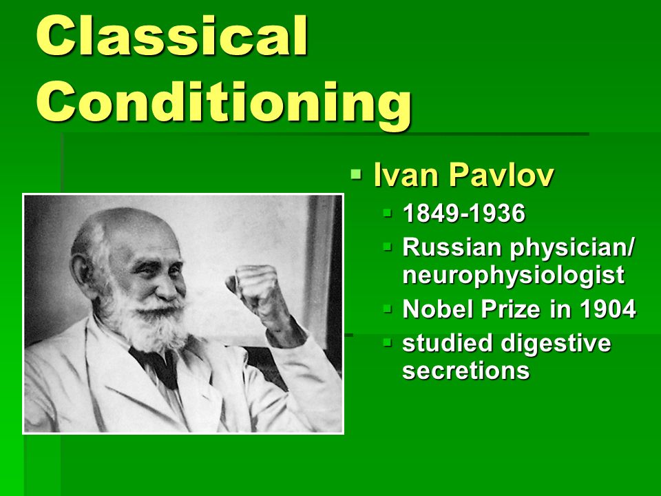 Learning Classical Conditioning.  Ivan Pavlov   Russian physician/  neurophysiologist  Nobel Prize in 1904  studied digestive secretions. -  ppt download