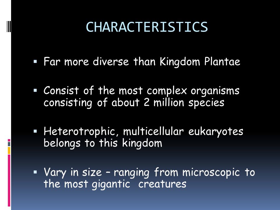 2 Characteristics Ef 82 A7 Far More Diverse Than Kingdom Plantae Ef 82 A7 Consist Of The Most Complex 2 Characteristics Ef 82 A7 Far More Diverse Than Kingdom Plantae Ef 82 A7 Consist Of The Most Complex