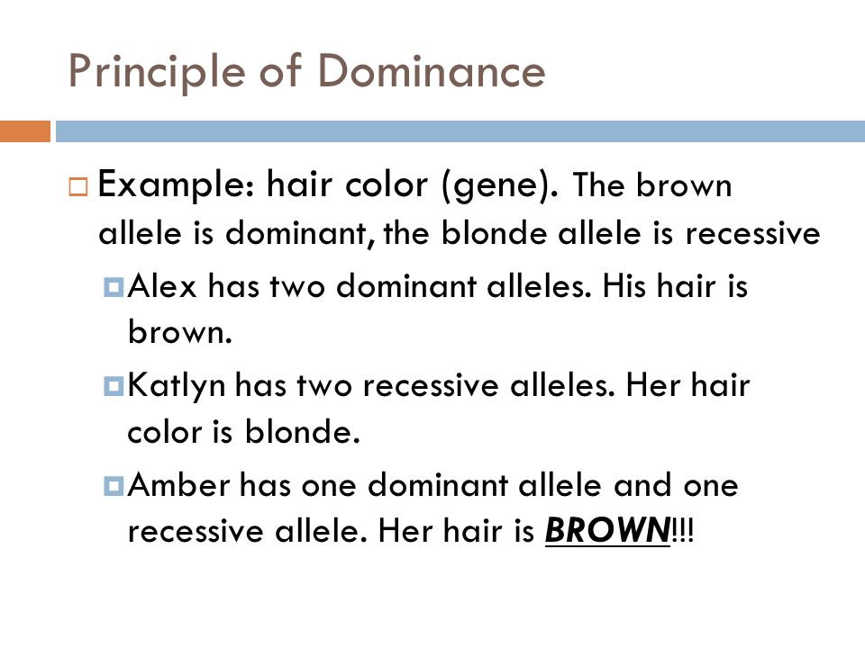 dominant recessive heterozygous homozygous catalyst principle of dominance