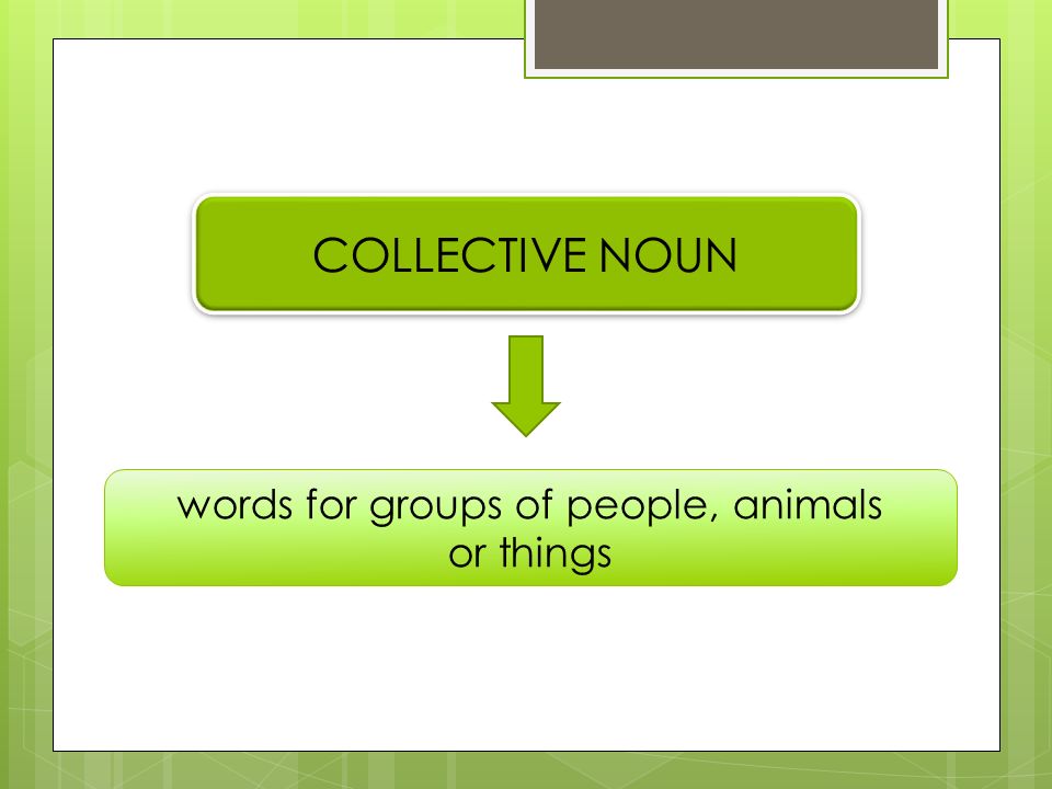 COLLECTIVE NOUN. words for groups of people, animals or things. - ppt  download
