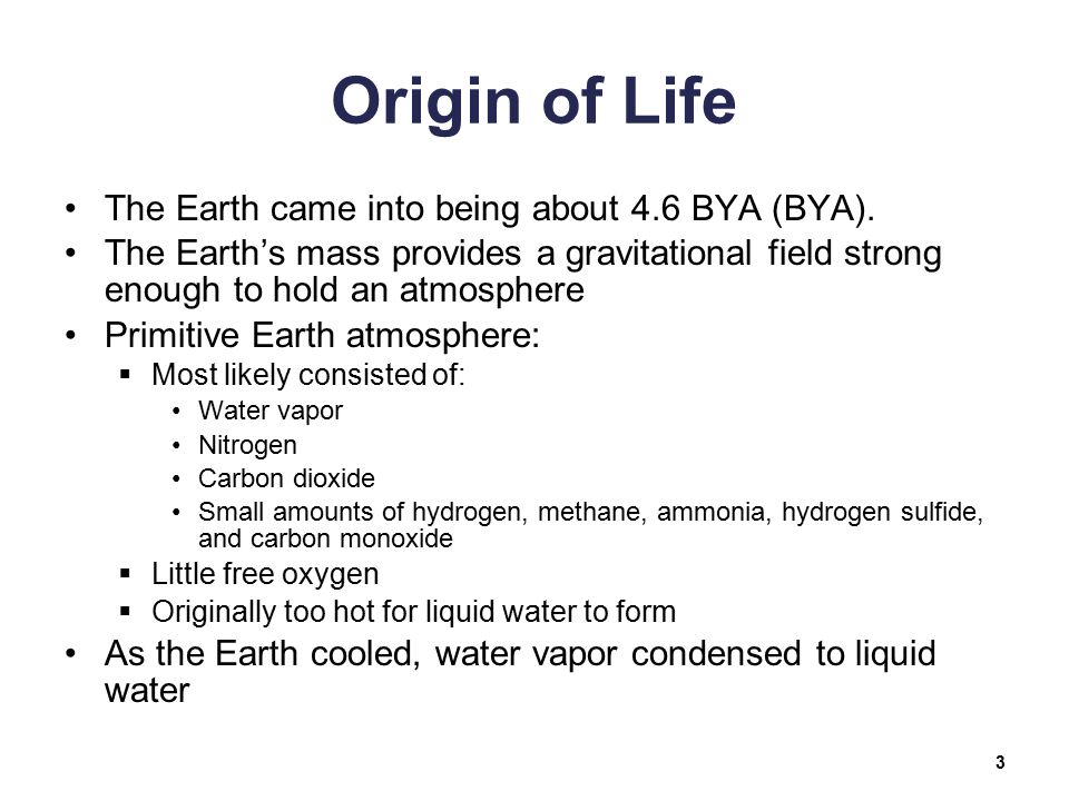 Biology Sylvia S Mader Michael Windelspecht Chapter 18 Origin And History Of Life Lecture Outline Copyright C The Mcgraw Hill Companies Inc Permission Ppt Download