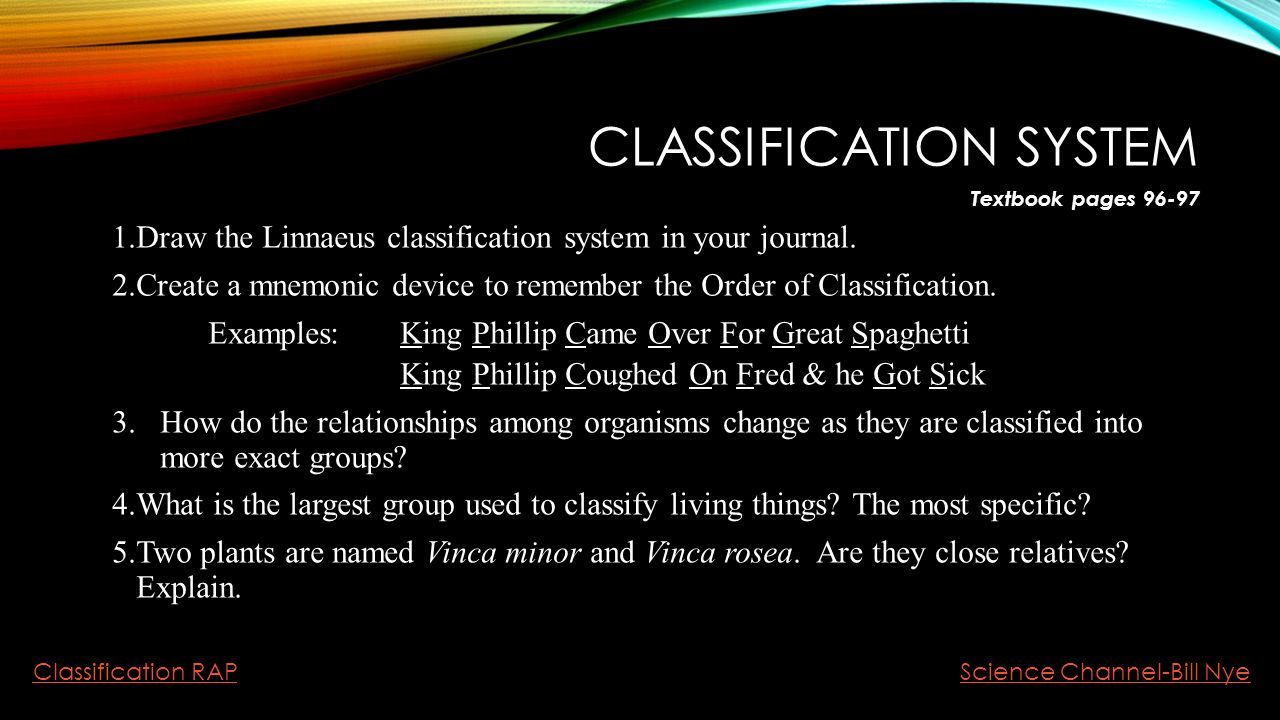 Describe the classification of the simplest 11 Describe the classification of the simplest 95