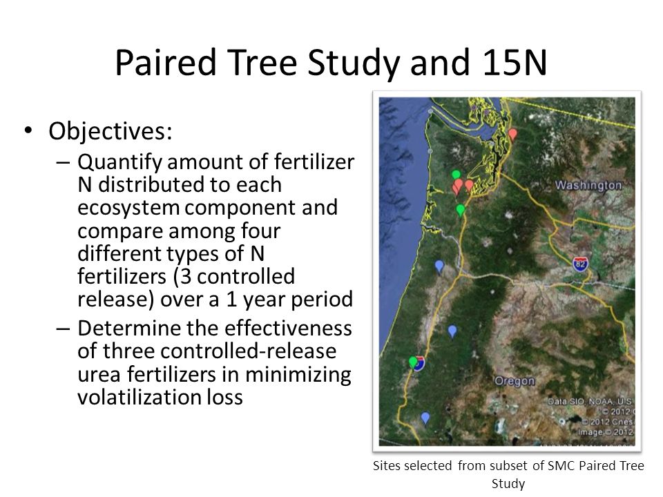 Paired Tree Study and 15N Objectives: – Quantify amount of fertilizer N distributed to each ecosystem component and compare among four different types of N fertilizers (3 controlled release) over a 1 year period – Determine the effectiveness of three controlled-release urea fertilizers in minimizing volatilization loss Sites selected from subset of SMC Paired Tree Study
