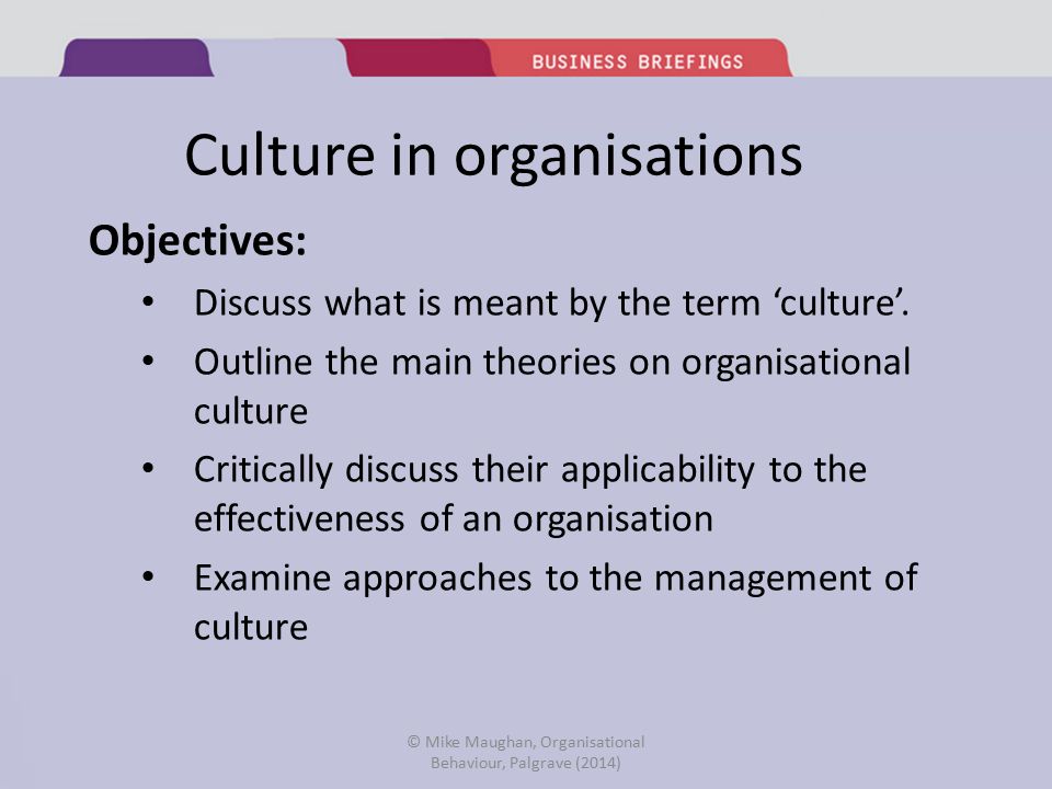 Organisational Behaviour Chapter 8. Culture in organisations Objectives:  Discuss what is meant by the term 'culture'. Outline the main theories on  organisational. - ppt download