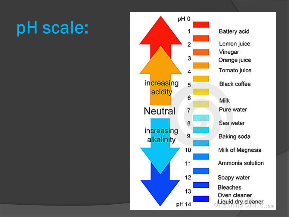 Notes: 19.2 – Hydrogen Ions & Acidity (ph And Poh) - Ppt Download