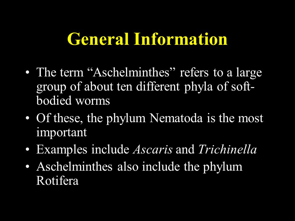 aschelminthes ppt)