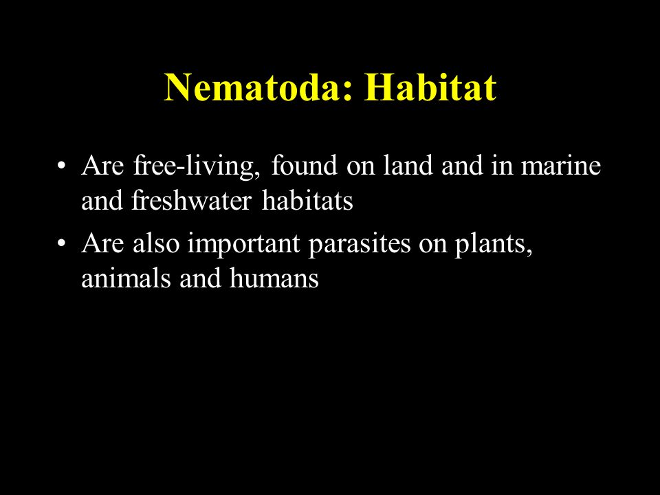 habitat aschelminthes)