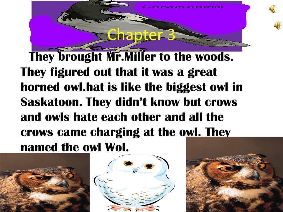 Owls In The Family By Shaye Golden 10 Book By Farley Mowat Ppt Download