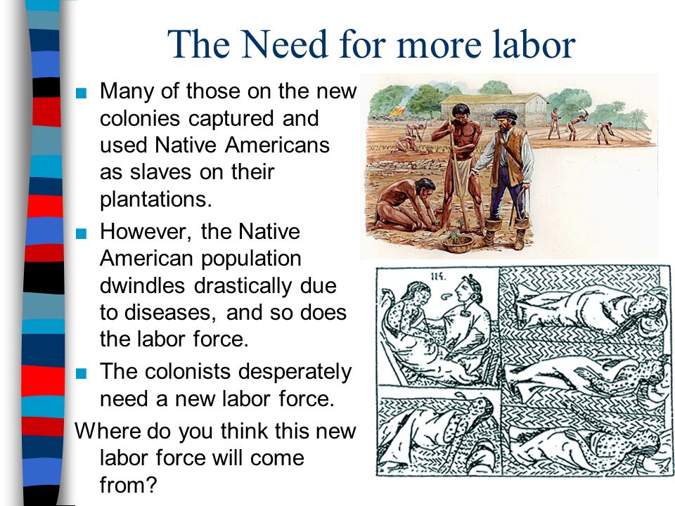 The Need for more labor ■Many of those on the new colonies captured and used Native Americans as slaves on their plantations.