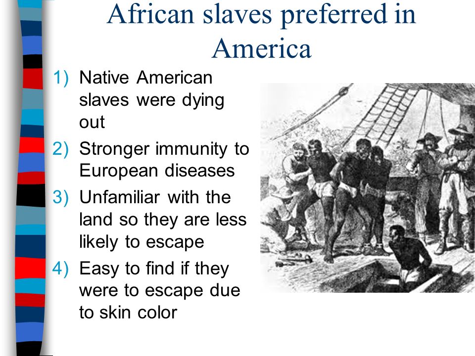 African slaves preferred in America 1)Native American slaves were dying out 2)Stronger immunity to European diseases 3)Unfamiliar with the land so they are less likely to escape 4)Easy to find if they were to escape due to skin color