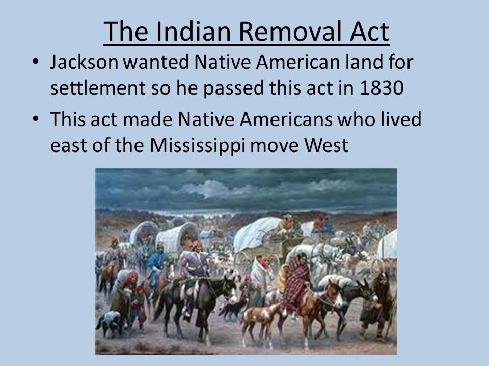 why did the indian removal act take place
