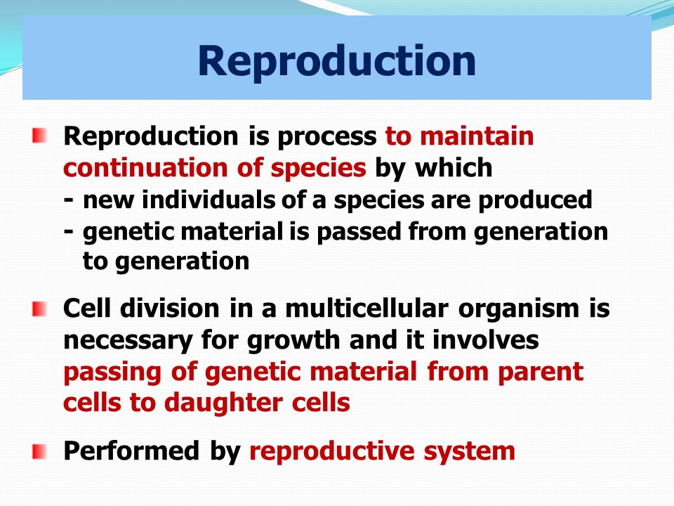 Reproduction Reproduction is process to maintain continuation of species by which - new individuals of a species are produced - genetic material is passed from generation to generation Cell division in a multicellular organism is necessary for growth and it involves passing of genetic material from parent cells to daughter cells Performed by reproductive system