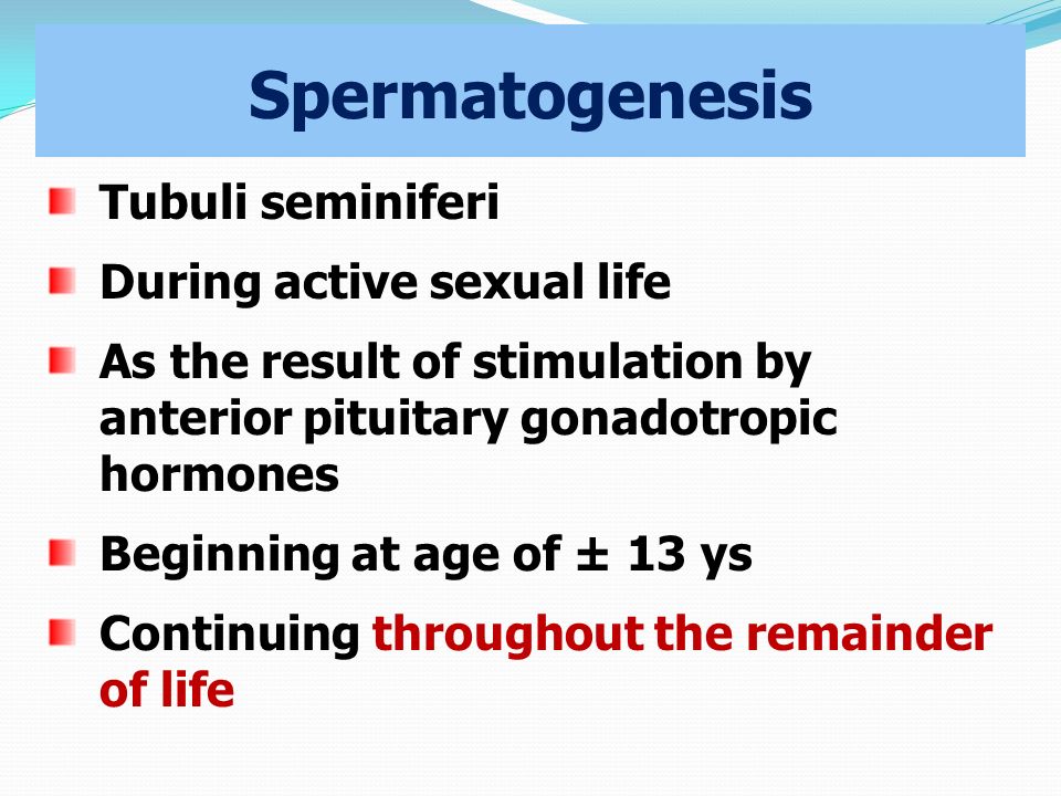 Spermatogenesis Tubuli seminiferi During active sexual life As the result of stimulation by anterior pituitary gonadotropic hormones Beginning at age of ± 13 ys Continuing throughout the remainder of life