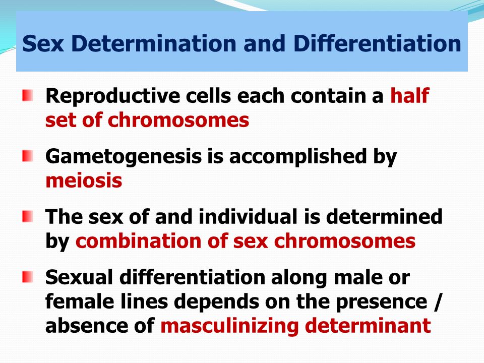 Sex Determination and Differentiation Reproductive cells each contain a half set of chromosomes Gametogenesis is accomplished by meiosis The sex of and individual is determined by combination of sex chromosomes Sexual differentiation along male or female lines depends on the presence / absence of masculinizing determinant