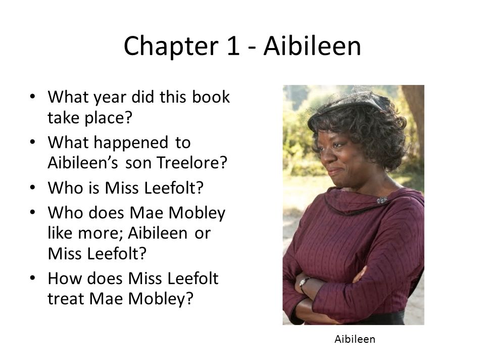 Chapter 1 - Aibileen What year did this book take place? What happened to  Aibileen's son Treelore? Who is Miss Leefolt? Who does Mae Mobley like  more; - ppt download