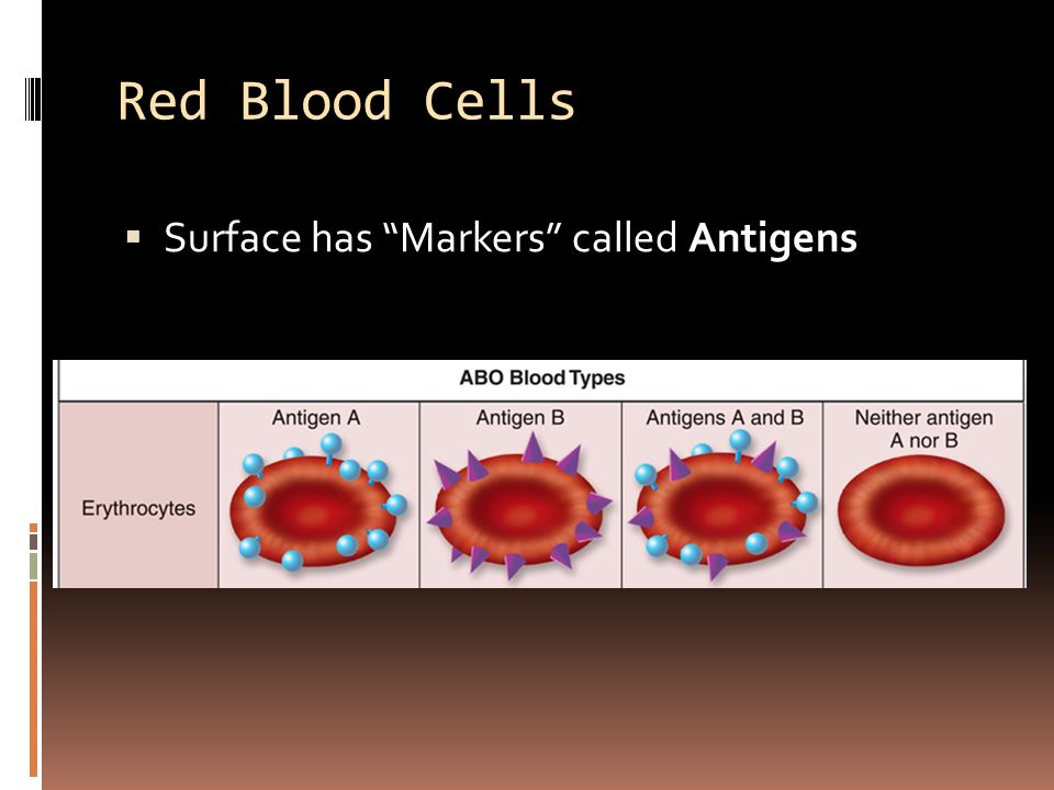 Red Blood Cells  Surface has “Markers” called Antigens. - ppt download
