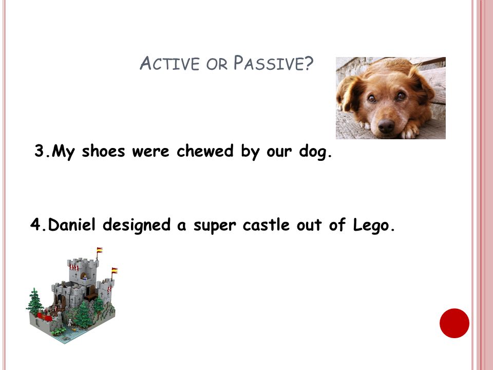 A CTIVE OR P ASSIVE . 3.My shoes were chewed by our dog.
