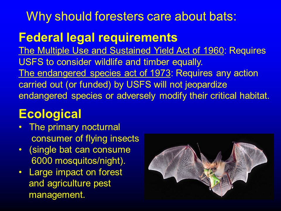 Federal legal requirements The Multiple Use and Sustained Yield Act of 1960: Requires USFS to consider wildlife and timber equally.
