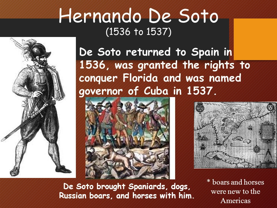 Hernando De Soto (1536 to 1537) De Soto brought Spaniards, dogs, Russian boars, and horses with him.
