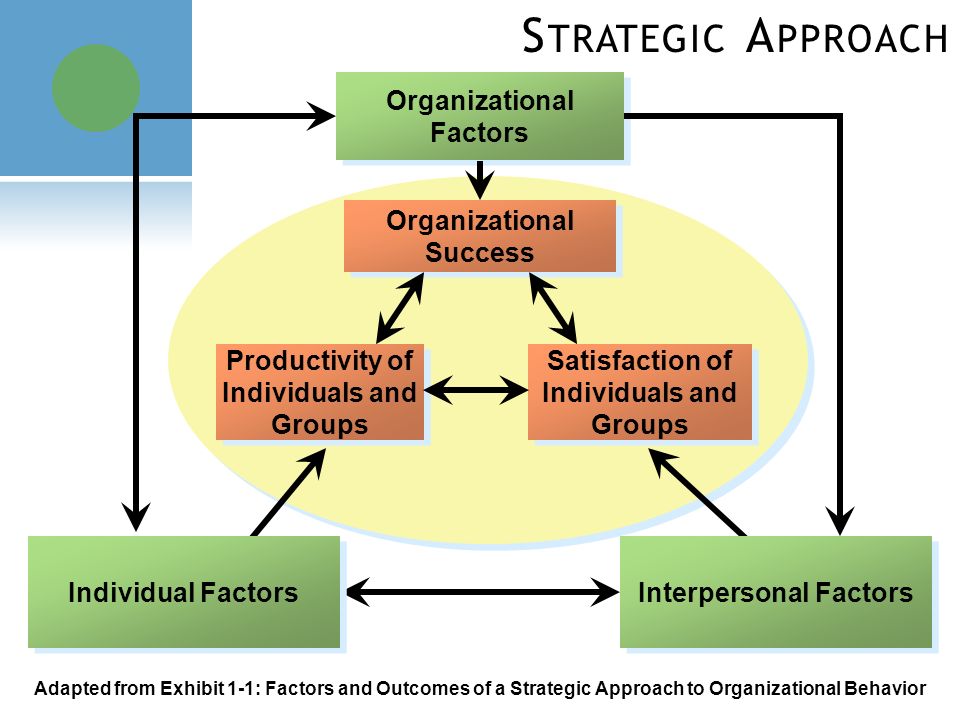 productivity approach to organisational behaviour