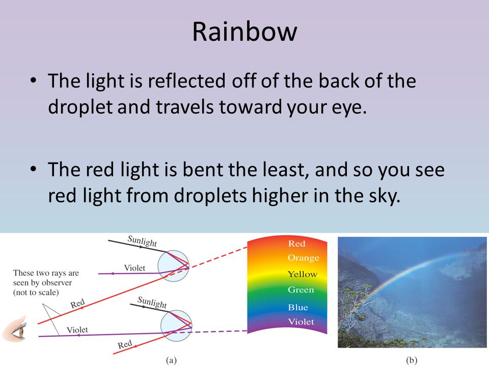 Rainbow The light is reflected off of the back of the droplet and travels toward your eye.