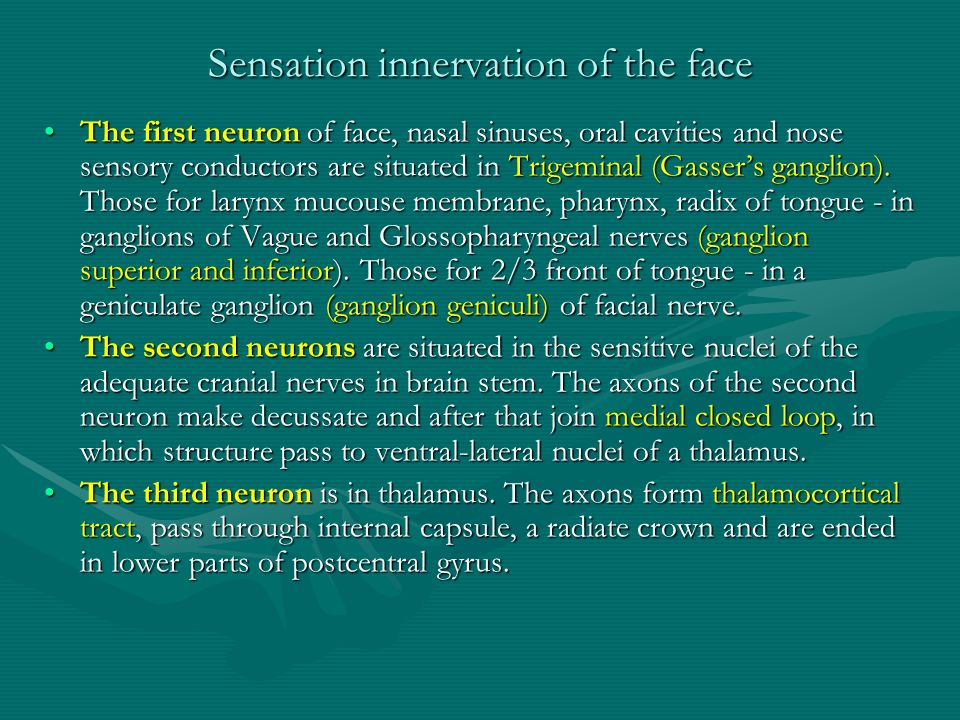 Sensation innervation of the face The first neuron of face, nasal sinuses, oral cavities and nose sensory conductors are situated in Trigeminal (Gasser’s ganglion).