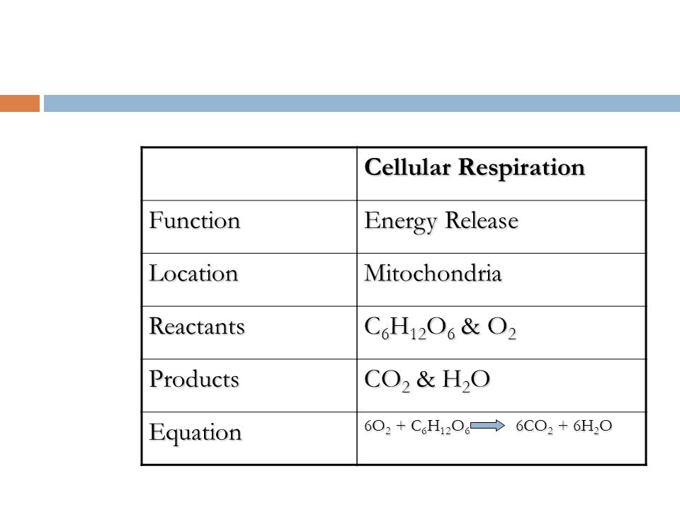 cellular respiration reactants and products chart