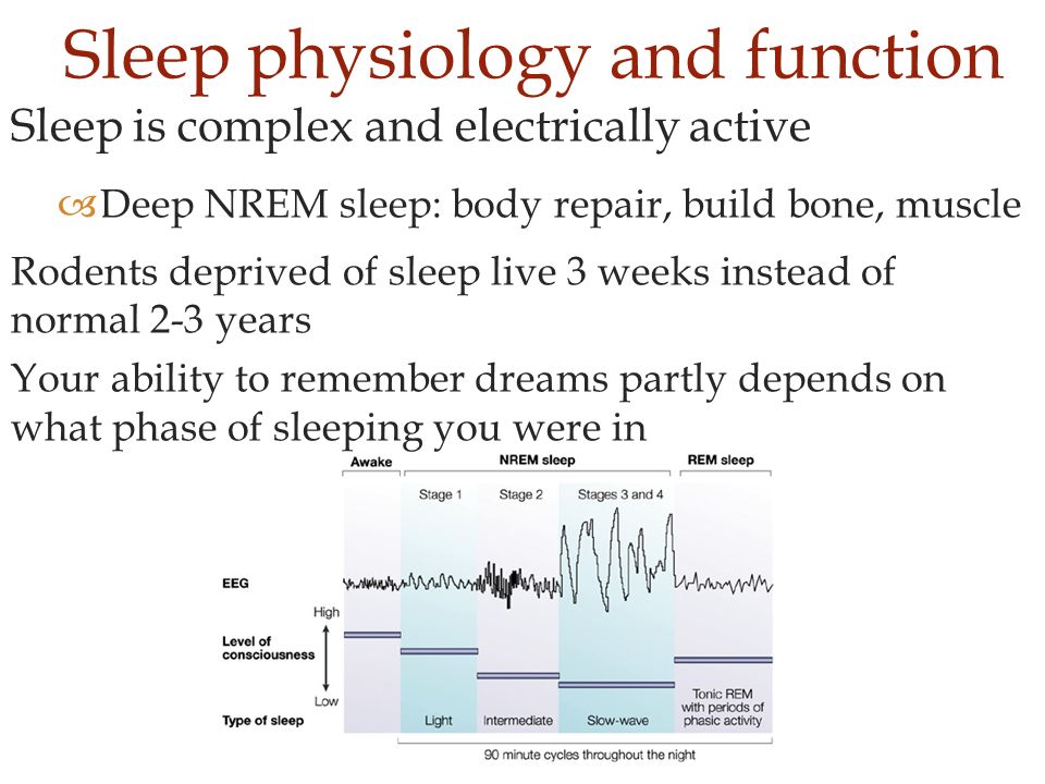 Sleep is complex and electrically active  Deep NREM sleep: body repair, build bone, muscle Rodents deprived of sleep live 3 weeks instead of normal 2-3 years Your ability to remember dreams partly depends on what phase of sleeping you were in Sleep physiology and function