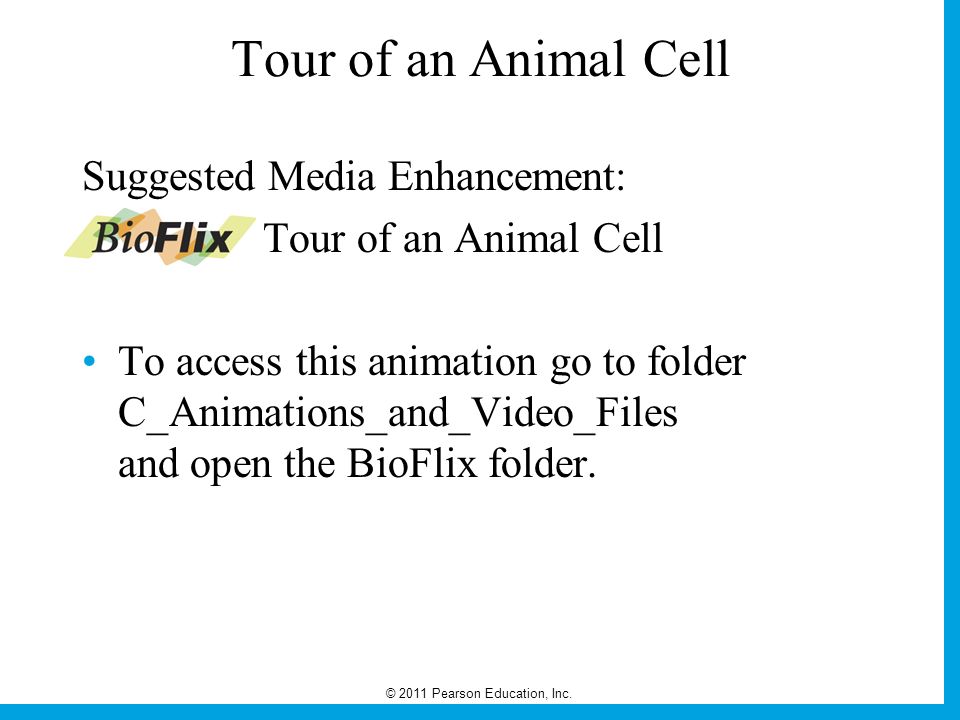 A Guide to the Natural World David Krogh © 2011 Pearson Education, Inc.  Chapter 4 Lecture Outline Life's Home: The Cell Biology Fifth Edition. -  ppt download