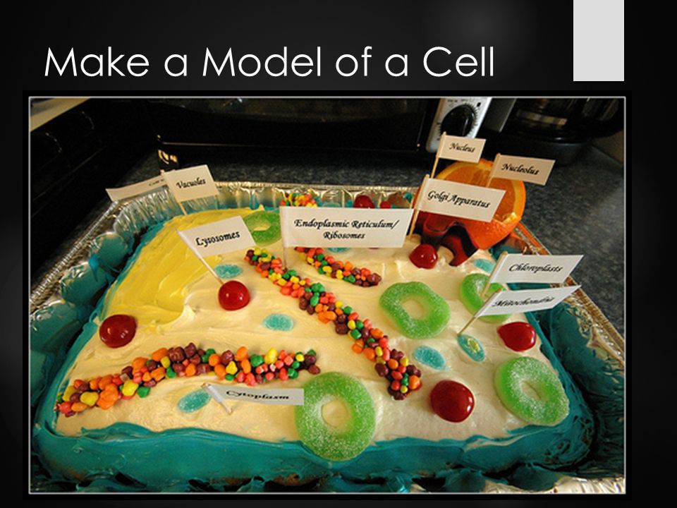 Cell Project. Your Options  You must create one of the following  Create  a Song  Write the Story of the cell  Make a poster  Create a Model  Or.  - ppt download