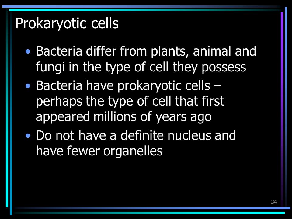 1 The Cell The Basic Unit Of Life 2 Contents The Light Microscope Electron Microscope The Cell Cell Ultrastructure Cell Membrane The Cell Wall Mitochondria Ppt Download