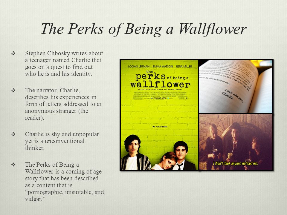 themes in perks of being a wallflower