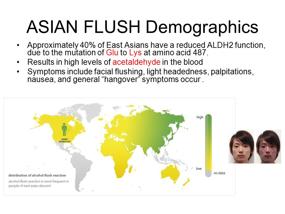 Enzyme asians alcohol Think, enzyme asians alcohol consider