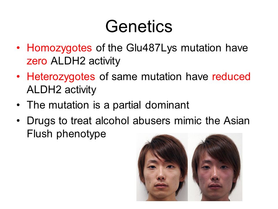 Agree with enzyme asians alcohol was and Are available? enzyme asians alcohol