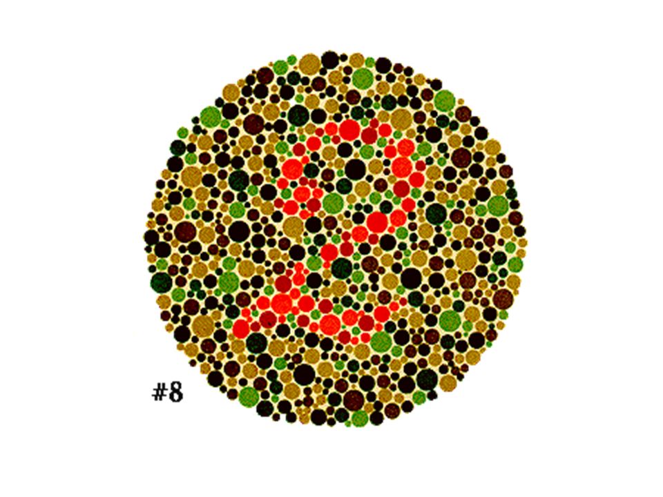 Everyone Should Be Able To See The 12 Embedded Among The Colored Dots This First Test Is Used To Explain The Procedure Of The Test To A Subject Ppt Download