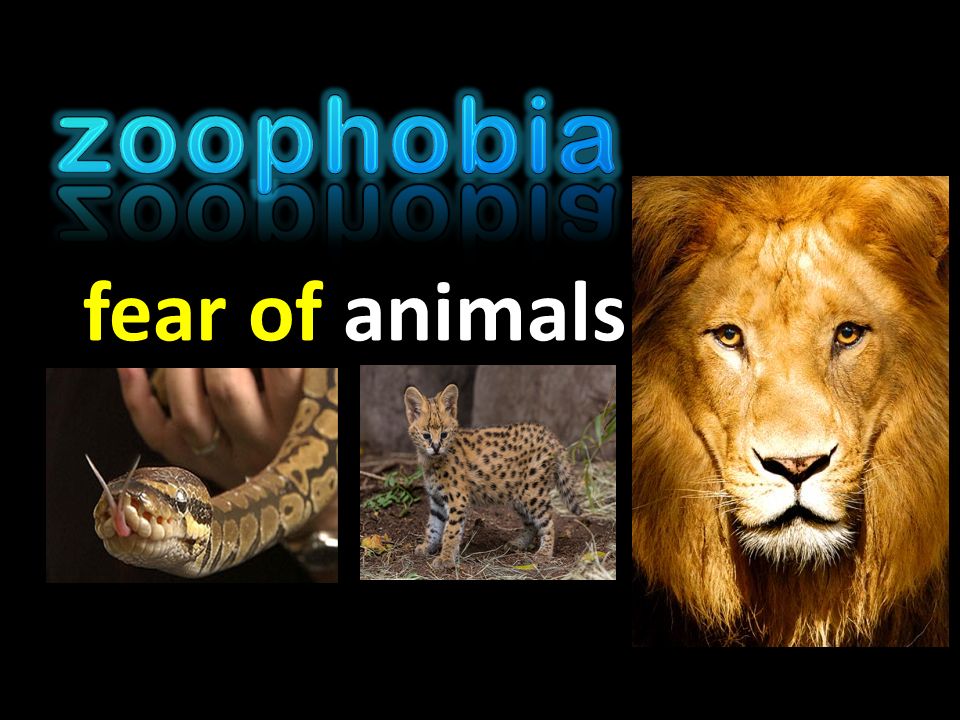 NEON TUBES -phobia = fear of -fear of water a il o p h b i a. - ppt download