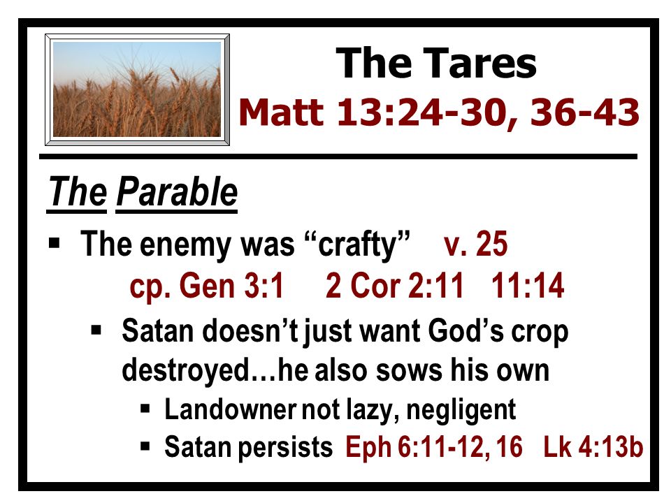 The Parable  The enemy was crafty v. 25 cp.