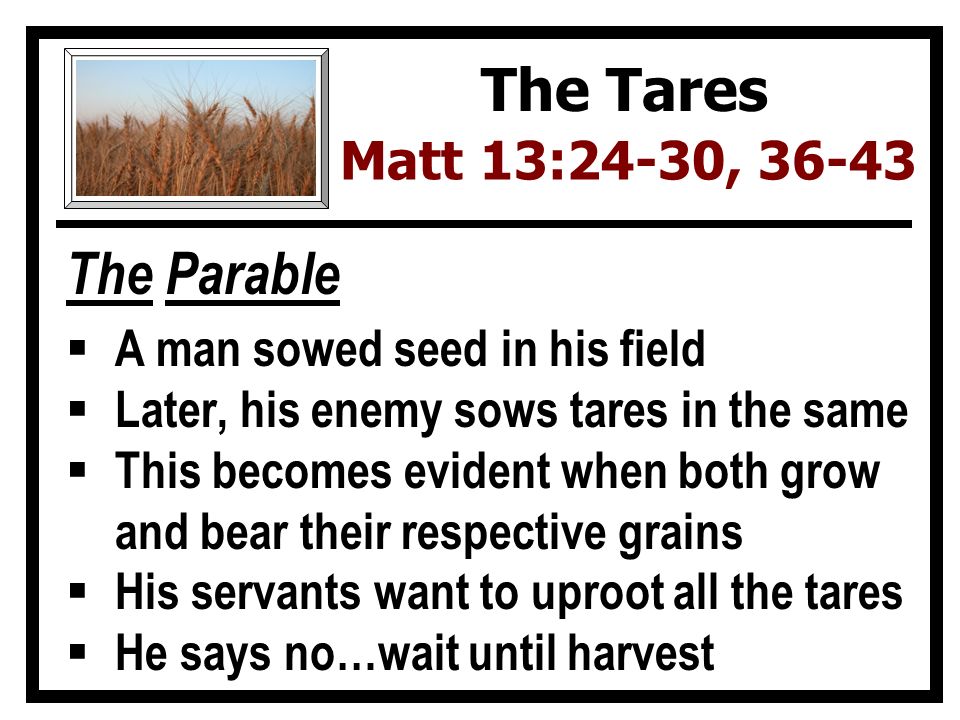 The Parable  A man sowed seed in his field  Later, his enemy sows tares in the same  This becomes evident when both grow and bear their respective grains  His servants want to uproot all the tares  He says no…wait until harvest The Tares Matt 13:24-30, 36-43