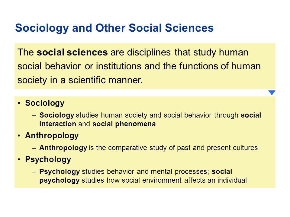 relationship of sociology and anthropology to other social sciences