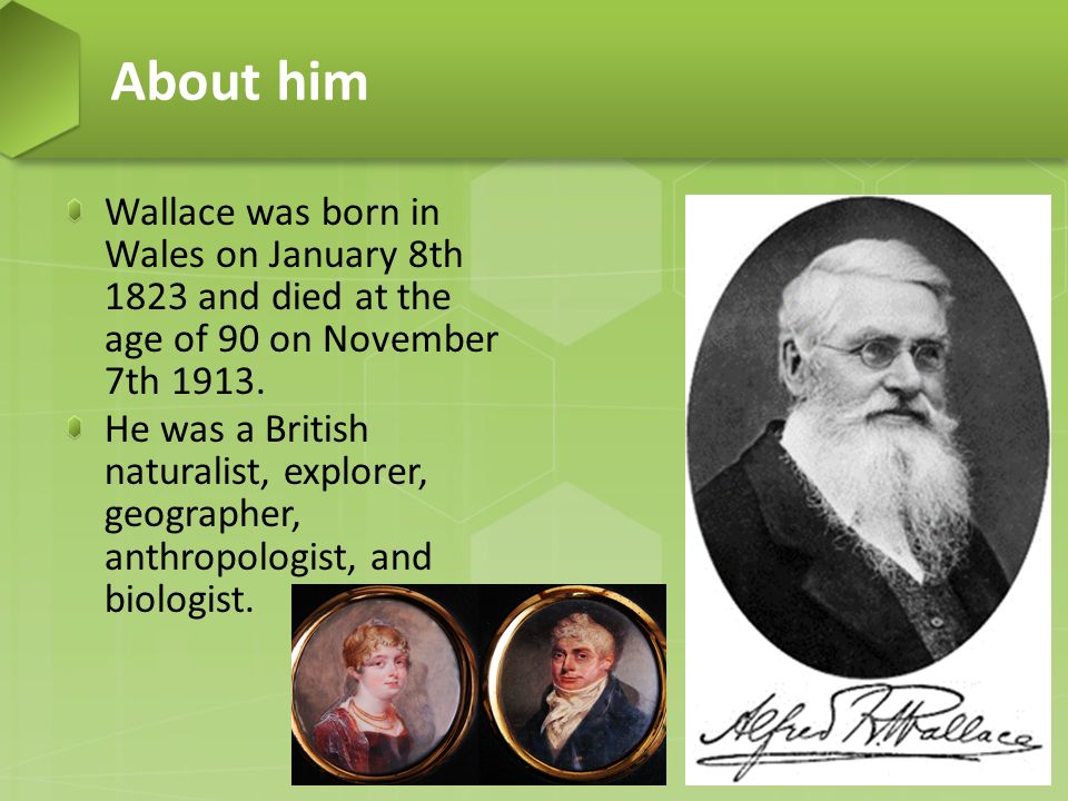 Alfred Russel Wallace Presented by: Codie O'Neil. - ppt download