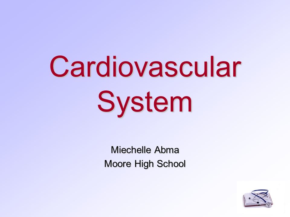 Cardiovascular System Miechelle Abma Moore High School