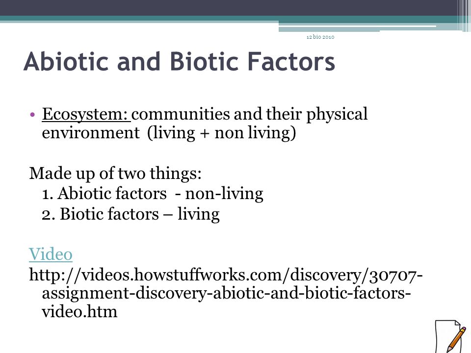 Ecology Bio Ecology The Study Of Organism’s Interrelationships With The 