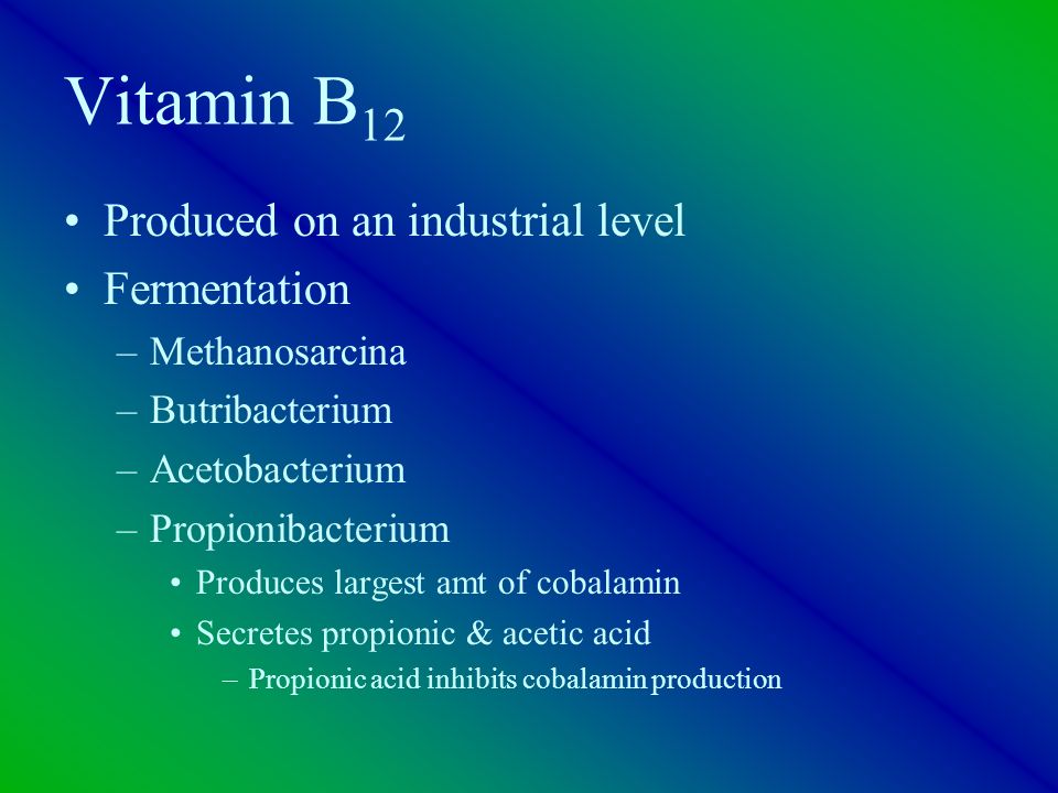 Vitamin B12 Production Flow Chart