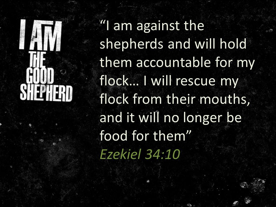 Woe to you shepherds of Israel who only take care of yourselves! Should not  shepherds take care of the flock? ” Ezekiel 34:2. - ppt download